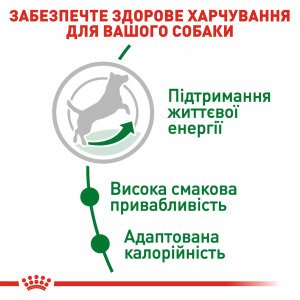 Сухий корм для собак малих порід Royal Canin Mini Adult 8+, 800 г