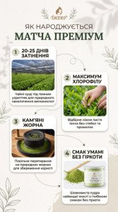 Схема виробництва матча G5: 20-25 днів затінення кущів, відбір листя та повільний помел кам'яними жорнами