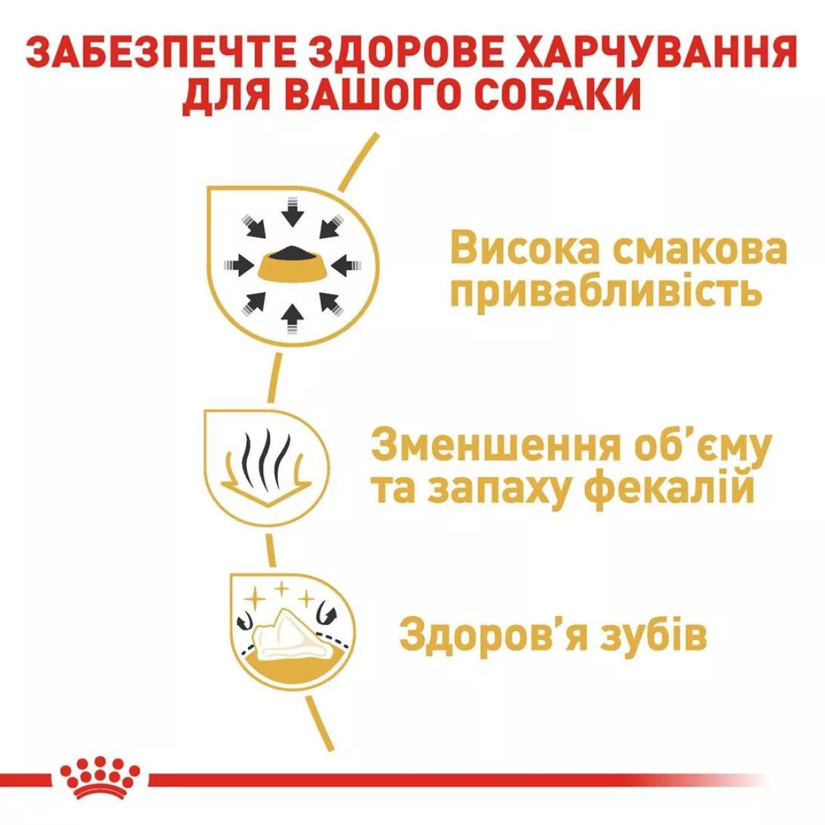 Сухий корм для собак чихуахуа Royal Canin Chihuahua Adult, 3 кг