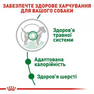 Вологий корм для собак малих порід Royal Canin Mini Adult, 85 г