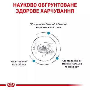 Сухий корм для котів Royal Canin Skin And Coat Cat, 400 г