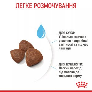 Сухий корм для цуценят середніх порід Royal Canin Medium Starter, 1 кг