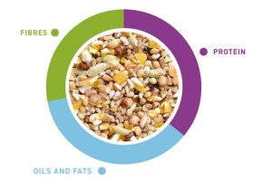 NatMix Tortore 5kg/Корм д/горлиць, перепелів Падован НатуралМікс Торторе 5 кг