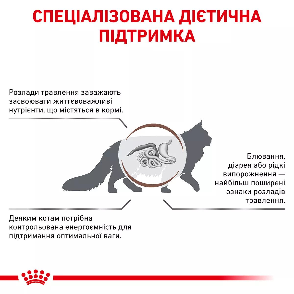 Сухий корм для котів Royal Canin Gastro Intestinal Moderate Calorie, 2 кг