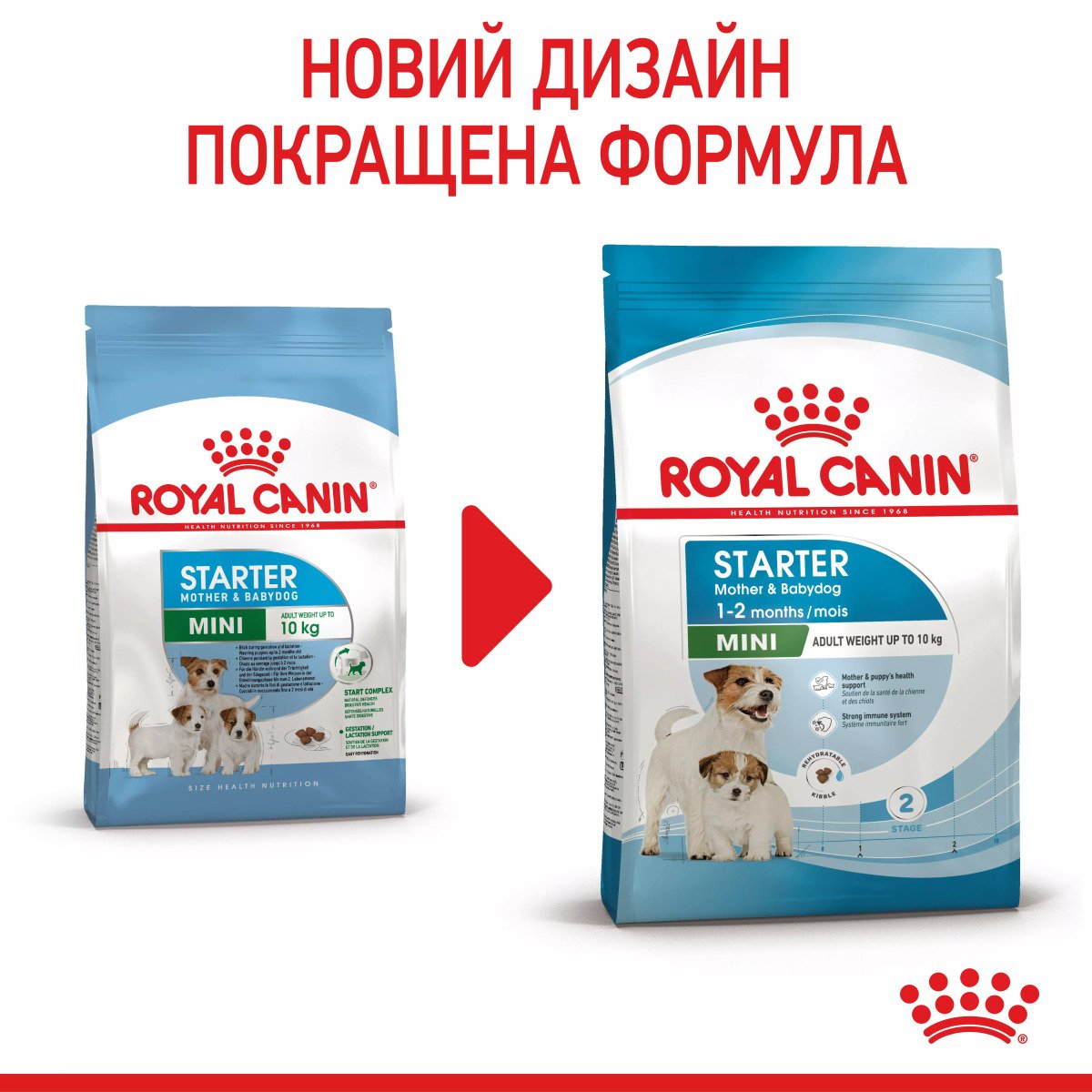 Сухий корм для цуценят мініатюрних порід Royal Canin Mini Starter, 1 кг