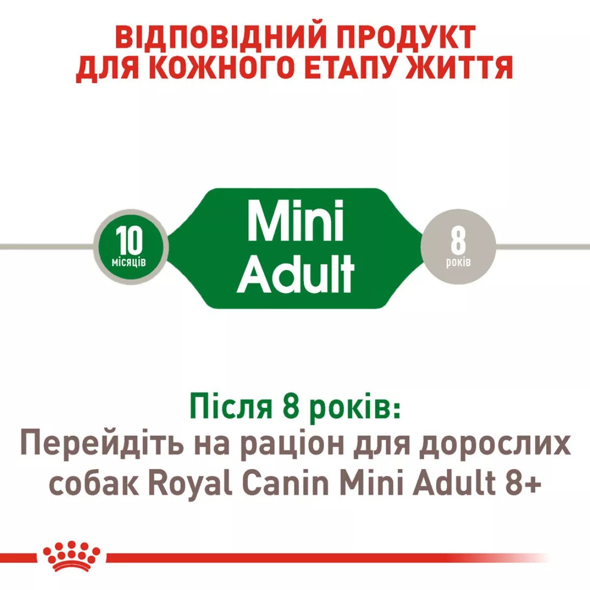 Сухий корм для собак малих порід Royal Canin Mini Adult, акційна упаковка 2 кг (1.6 кг + 400 г у подарунок)