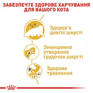 Сухий корм для котів Royal Canin Persian Adult, 2 кг