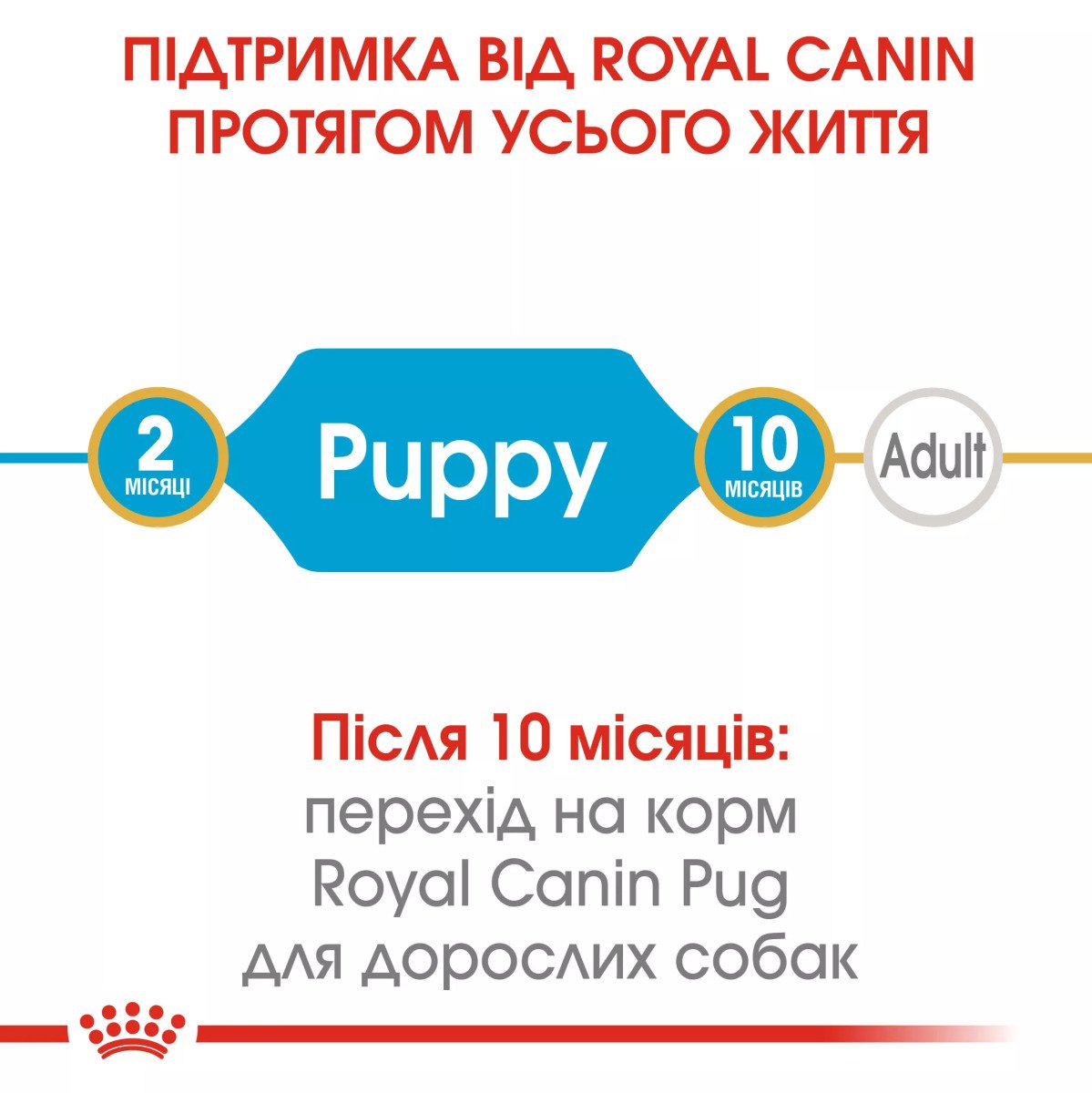 Сухий корм для цуценят мініатюрних порід Royal Canin Pug Puppy, 1.5 кг