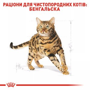 Сухий корм для котів Royal Canin Bengal Adult, 2 кг