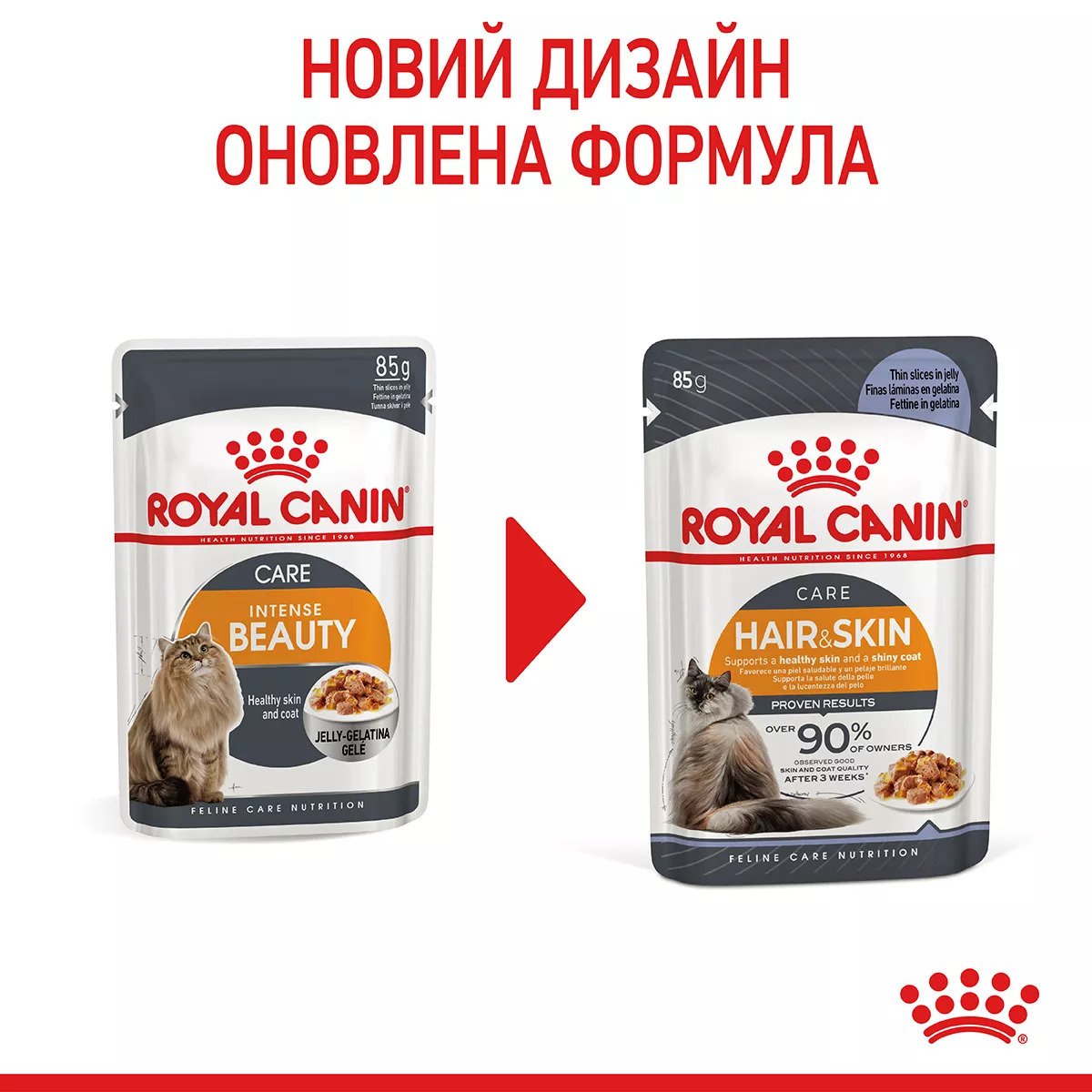 Вологий корм для котів Royal Canin HAIR & SKIN CARE In Jelly, 85 г