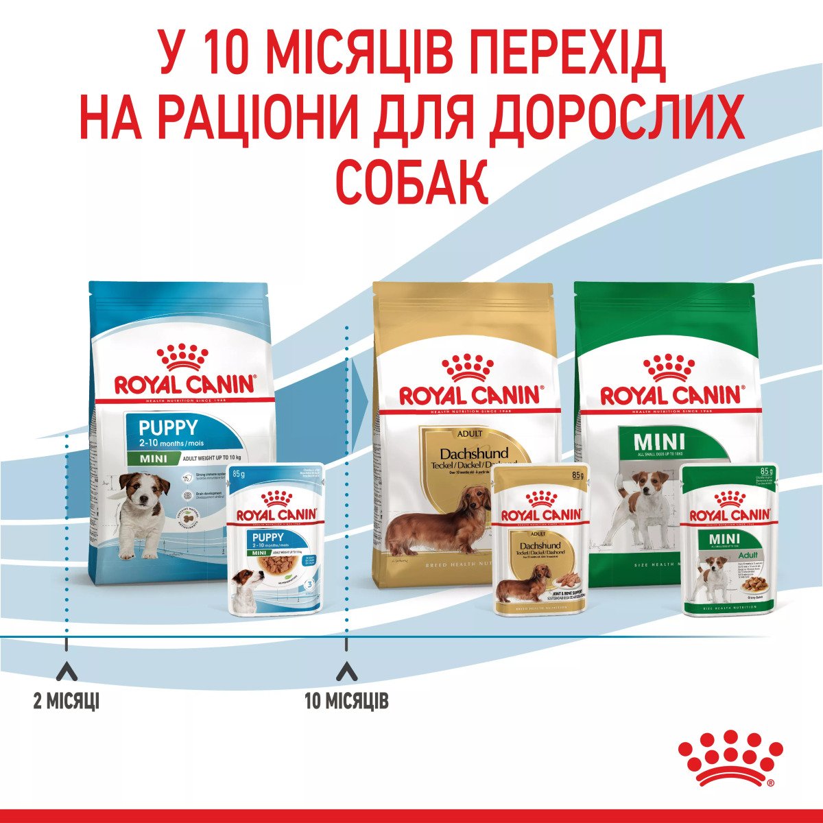 Вологий корм для цуценят мініатюрних порід Royal Canin Mini Puppy, 85 г