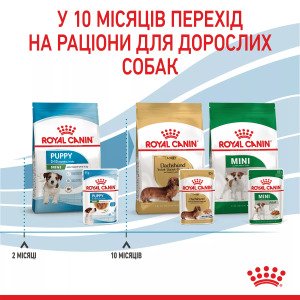 Вологий корм для цуценят мініатюрних порід Royal Canin Mini Puppy, 85 г