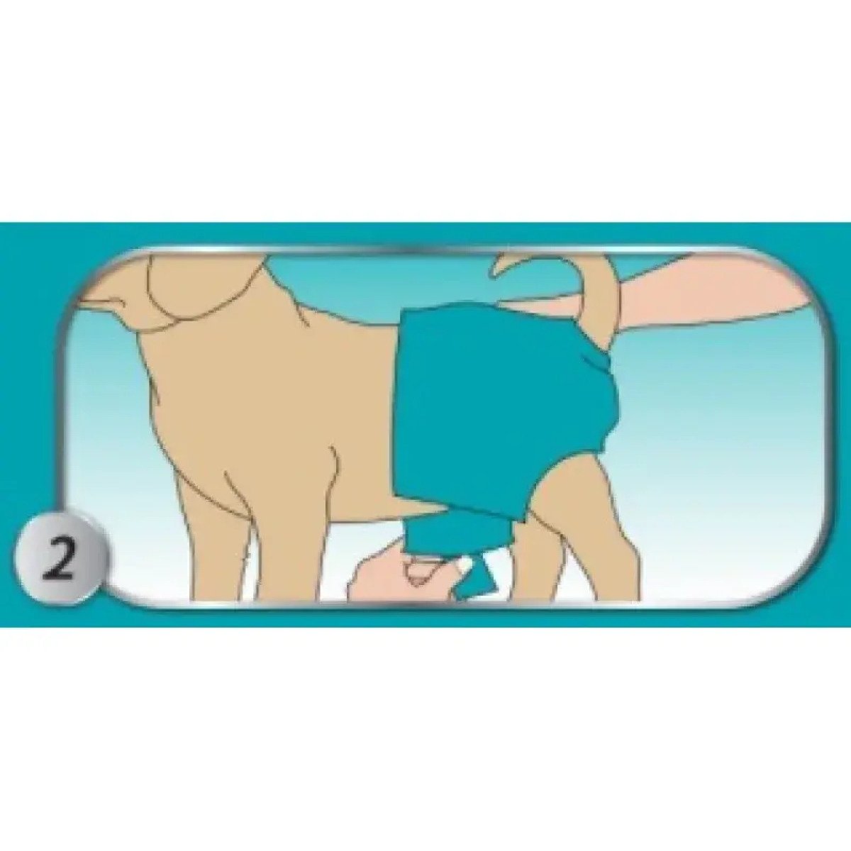 Багаторазові гігієнічні труси-підгузки для собак Simple Solution Washable Diaper Small (розмір S), 1 шт.