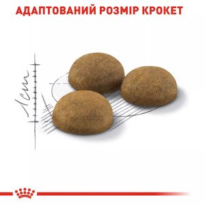 Сухий корм для котів Royal Canin Indoor Longhair, 2 кг