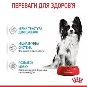Вологий корм для цуценят мініатюрних порід Royal Canin Xsmall Puppy, 85 г