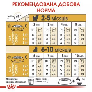 Сухий корм для цуценят мініатюрних порід Royal Canin Yorkshire Puppy, 500 г
