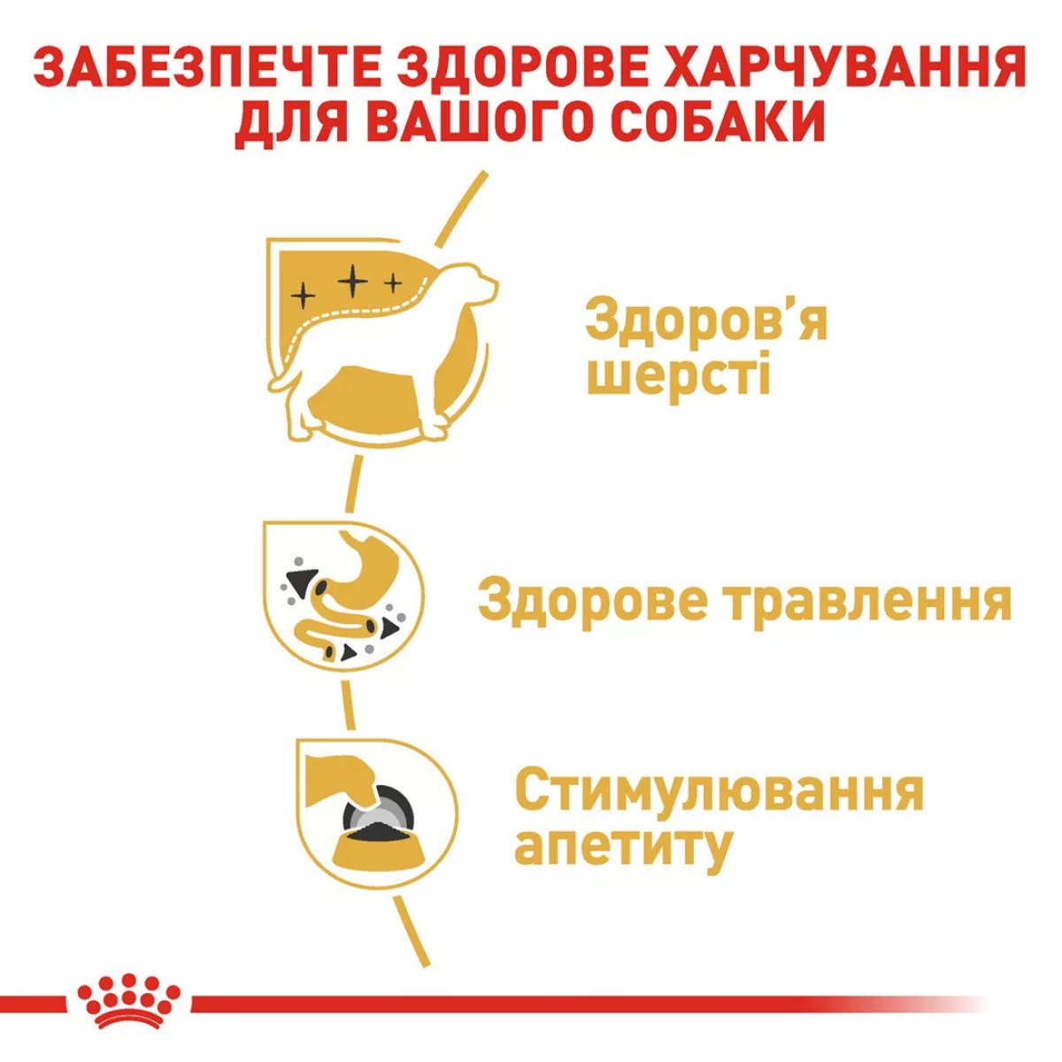 Вологий корм для собак чихуахуа Royal Canin Chihuahua, 85 г