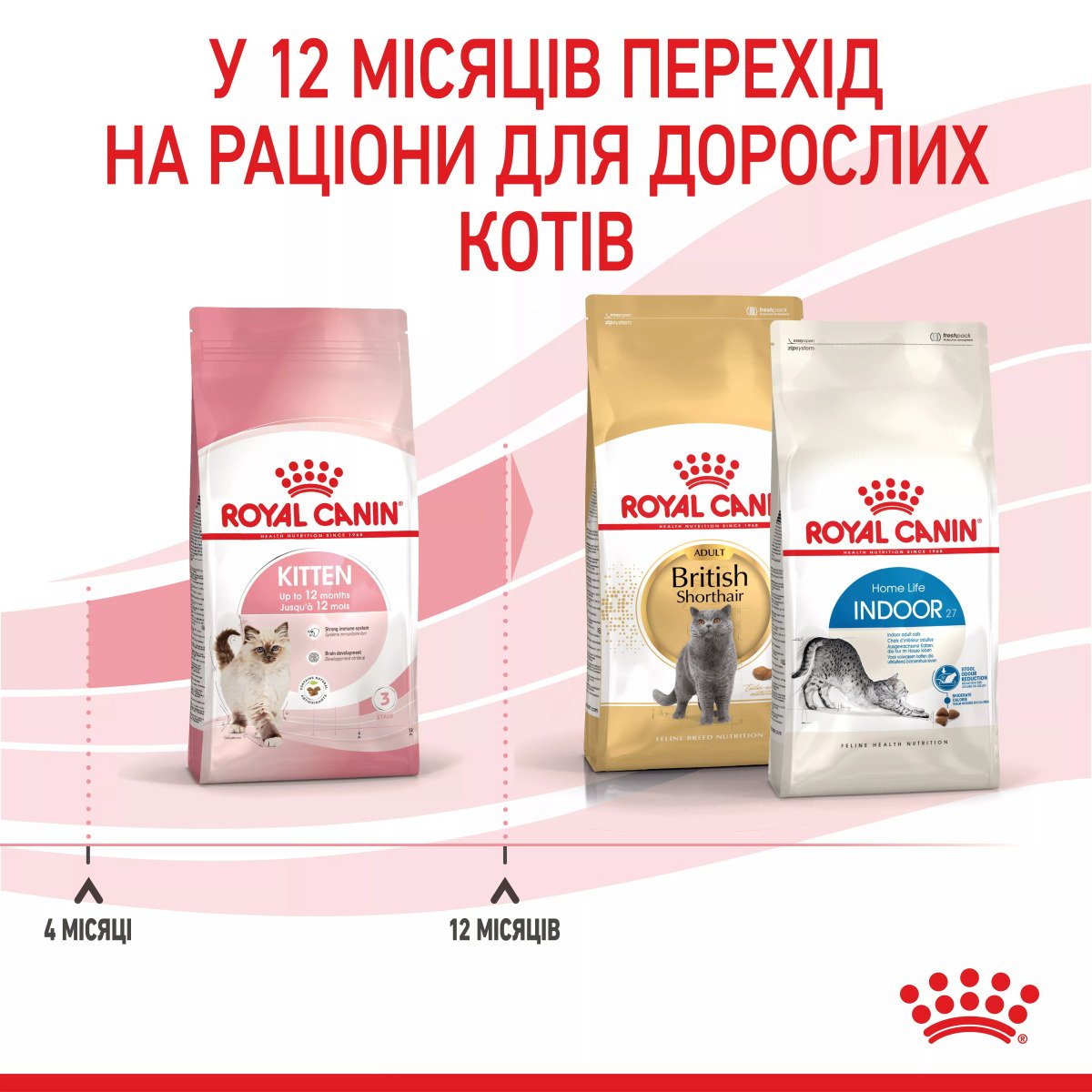 Сухий корм для кошенят Royal Canin Kitten, 400 г