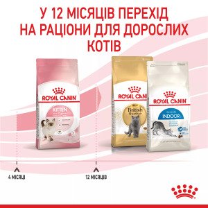 Сухий корм для кошенят Royal Canin Kitten, 400 г