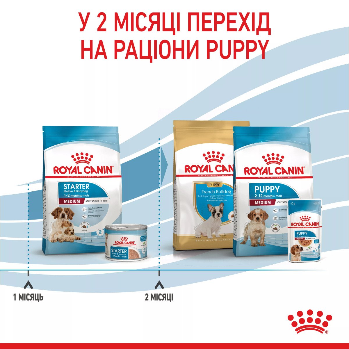 Сухий корм для цуценят середніх порід Royal Canin Medium Starter, 1 кг
