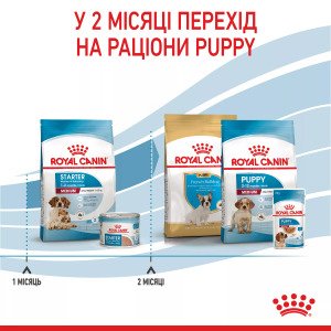 Сухий корм для цуценят середніх порід Royal Canin Medium Starter, 1 кг