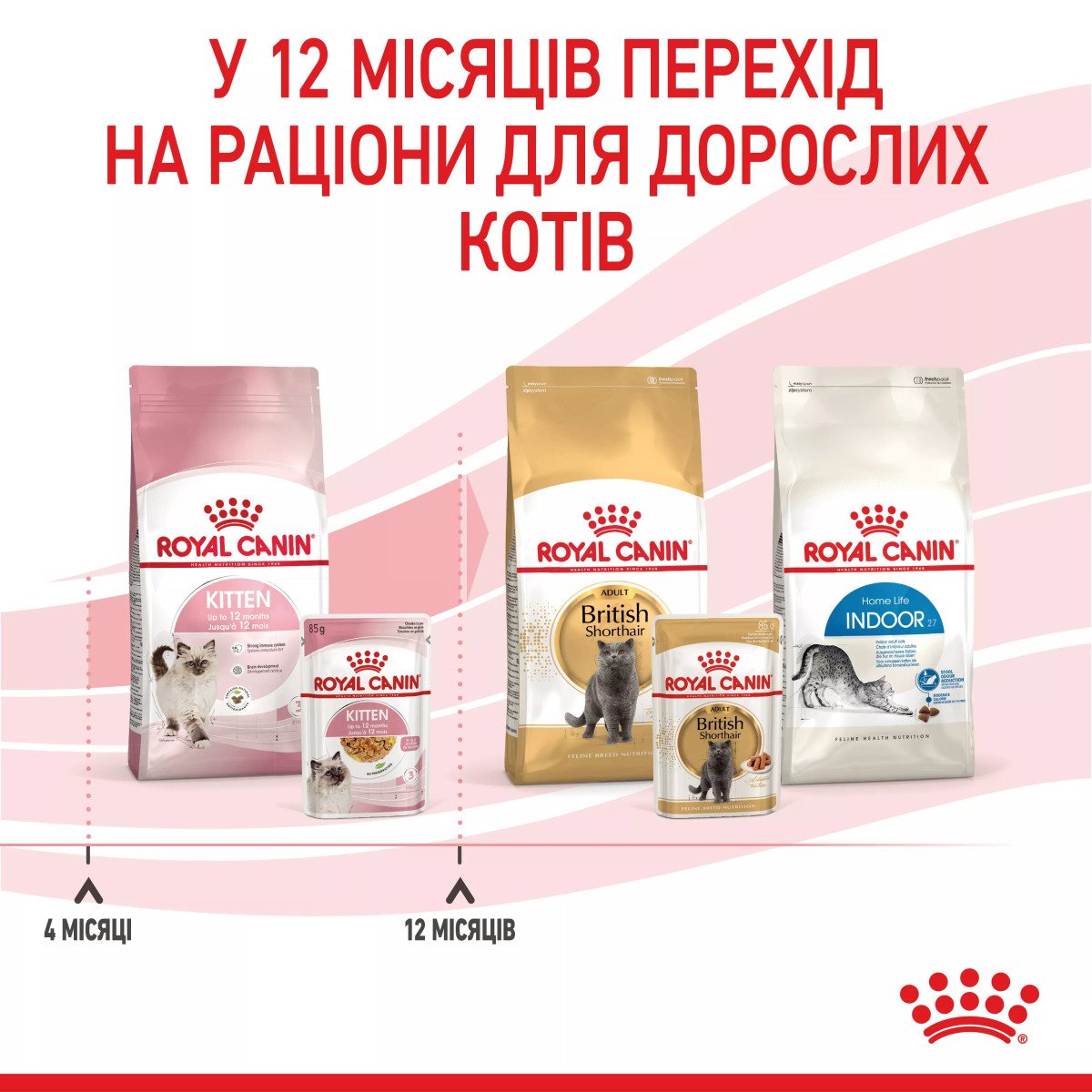 Вологий корм для кошенят Royal Canin Kitten Instinctive In Jelly, 85 г