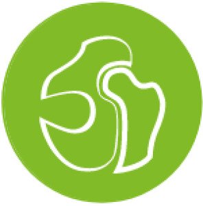 Nutri Horse Chondro 1kg