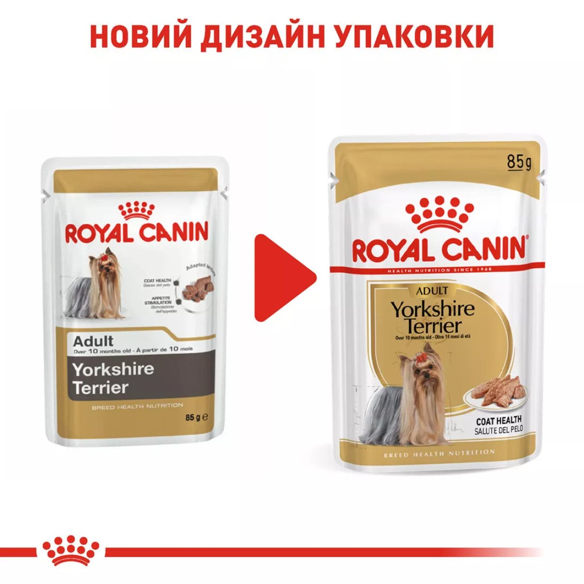 Вологий корм для йоркширських тер'єрів Royal Canin Yorkshire Adult, 85 г