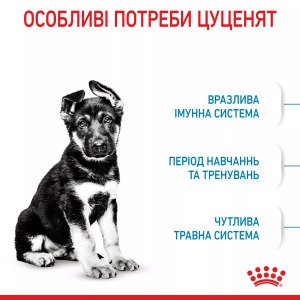 Сухий корм для цуценят великих порід Royal Canin Maxi Puppy, 1 кг