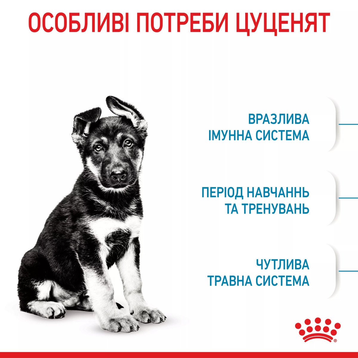Сухий корм для цуценят великих порід Royal Canin Maxi Puppy, 4 кг