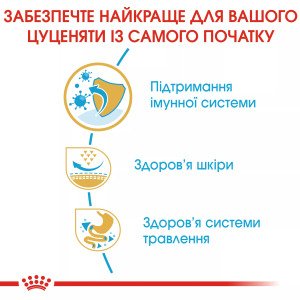 Сухий корм для цуценят мініатюрних порід Royal Canin Pug Puppy, 1.5 кг