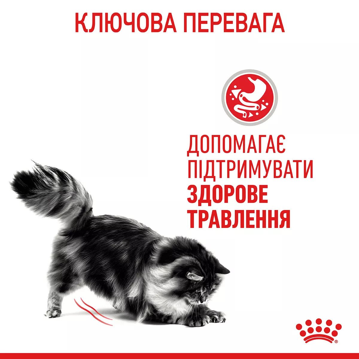 Сухий корм для котів Royal Canin Digestive Care, 85 г