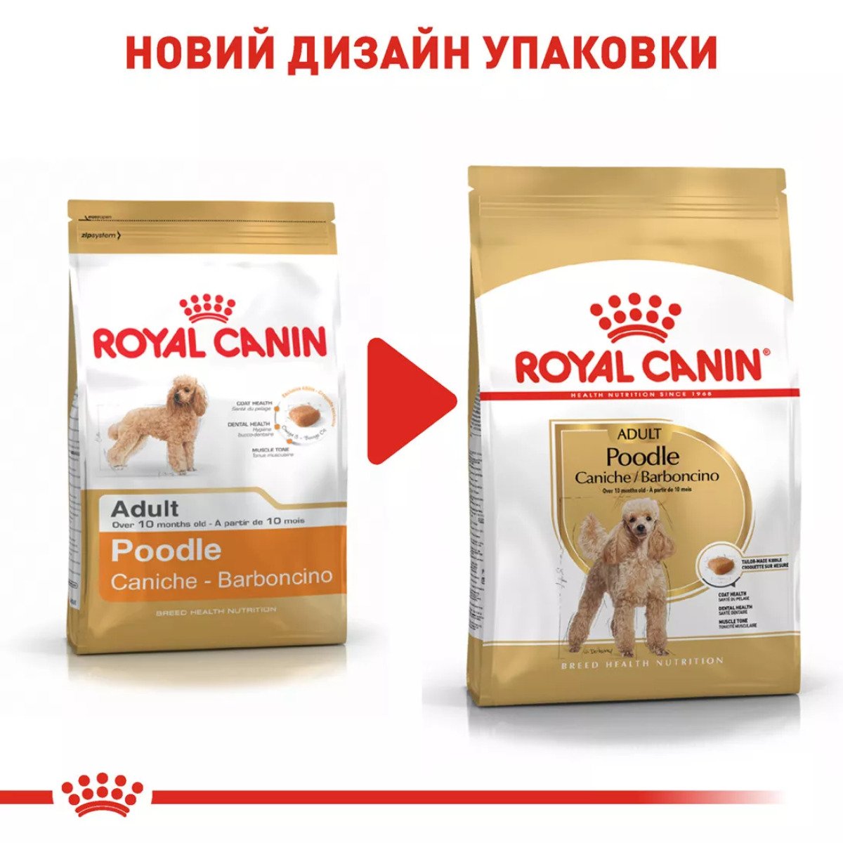 Сухий корм для собак Royal Canin Poodle Adult, 1.5 кг