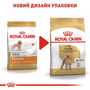 Сухий корм для собак Royal Canin Poodle Adult, 500 г