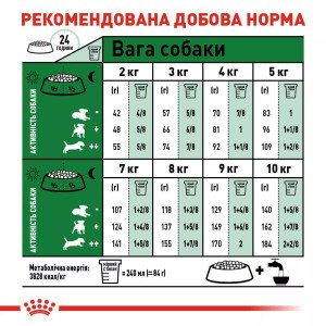 Сухий корм для собак малих порід Royal Canin Mini Ageing 12+, 800 г
