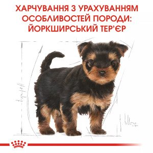 Сухий корм для цуценят мініатюрних порід Royal Canin Yorkshire Puppy, 7.5 кг