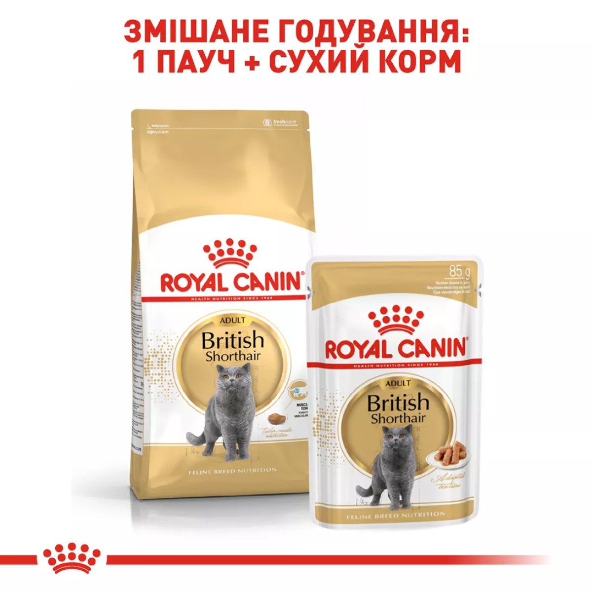 Сухий корм для котів Royal Canin British Shorthair Adult, 2 кг