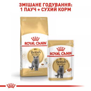 Сухий корм для котів Royal Canin British Shorthair Adult, 2 кг
