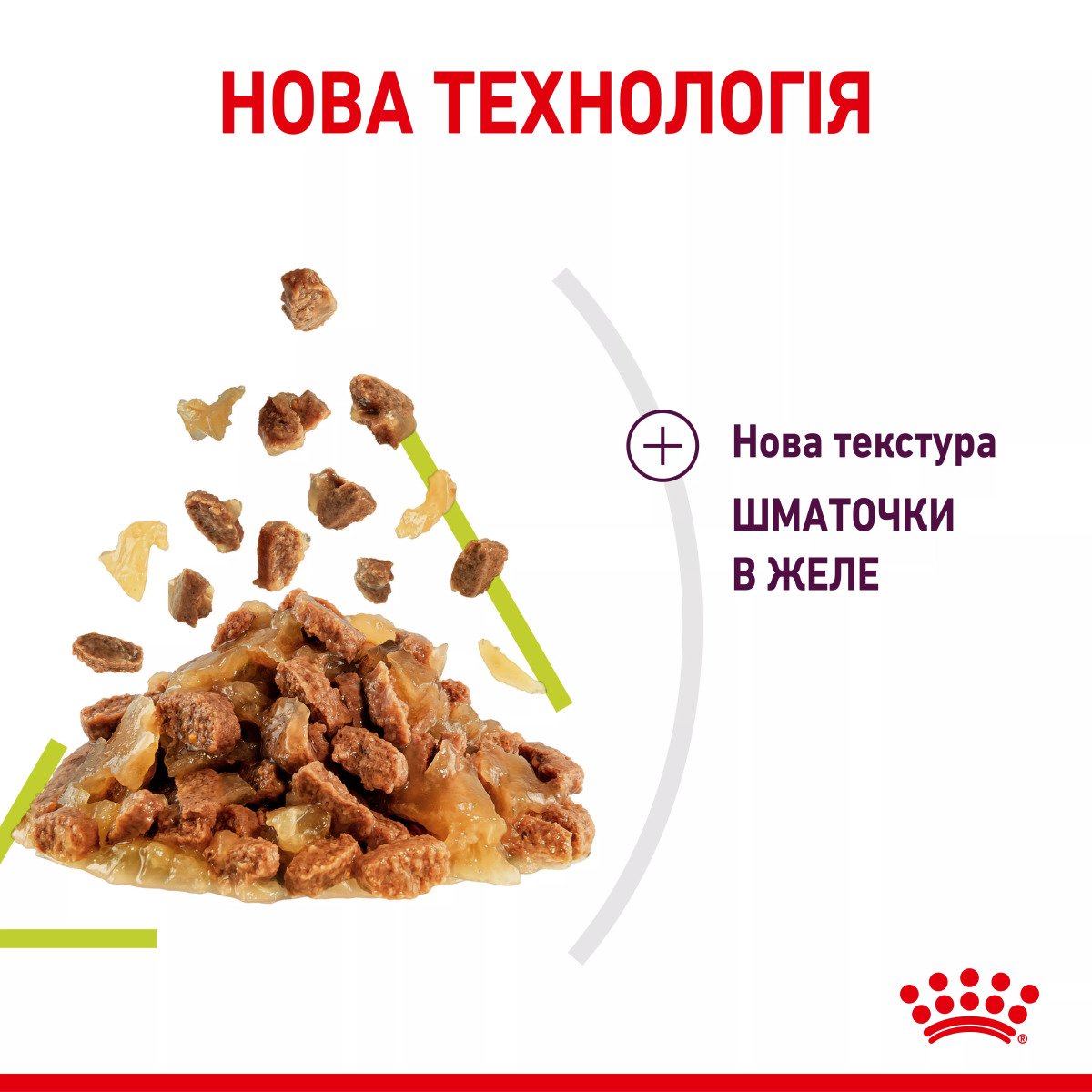 Вологий корм для котів Royal Canin Sensory Smell Chunks In Jelly, 85 г