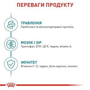 Сухий корм для котів Royal Canin Ageing 11+, 2 кг