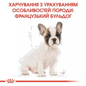 Сухий корм для цуценят мініатюрних порід Royal Canin French Bulldog Puppy, 1 кг