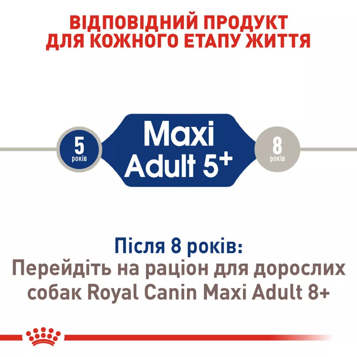 Сухий корм для собак великих порід Royal Canin Maxi Adult 5+, 15 кг