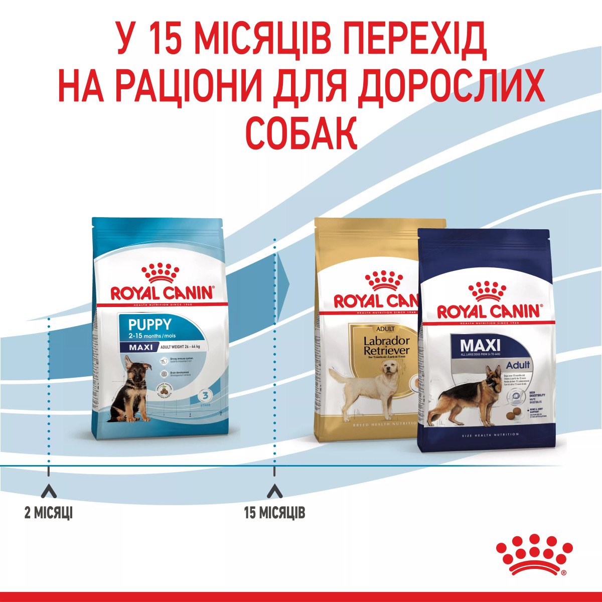 Сухий корм для цуценят великих порід Royal Canin Maxi Puppy, 4 кг