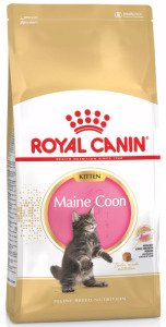Сухий корм для кошенят Royal Canin Mainecoon Kitten, 400 г
