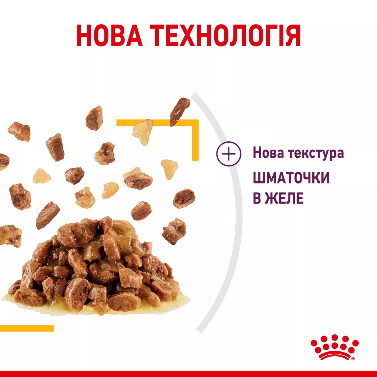 Вологий корм для котів Royal Canin Sensory Taste Chunks In Jelly, 85 г