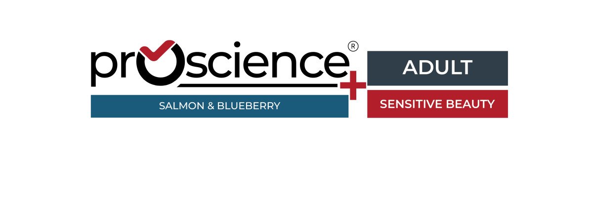 ProScience Adult Dog Salmon & Blueberry 12 kg
