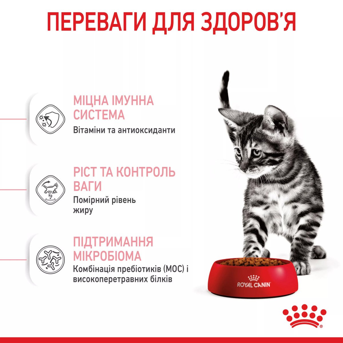 Сухий корм для кошенят Royal Canin Kitten Sterised, 2 кг