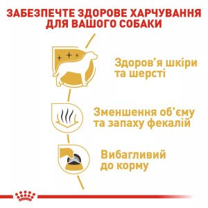 Сухий корм для собак малих порід Royal Canin Maltese Adult, 500 г