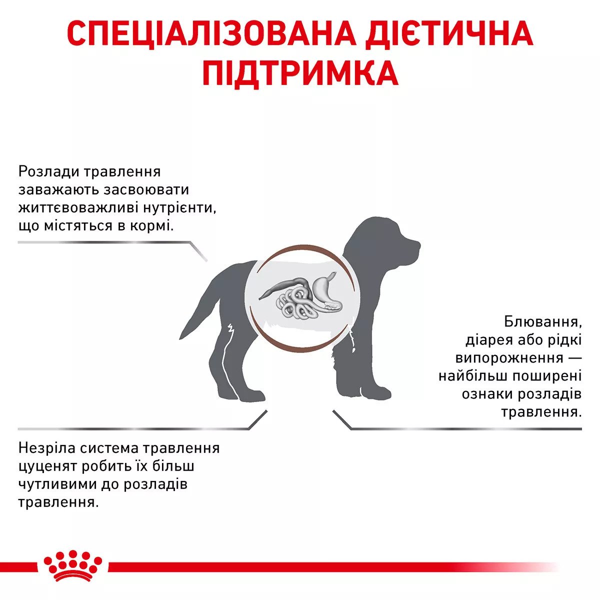 Сухий корм для цуценят Royal Canin Gastro Intestinal Puppy, 2.5 кг