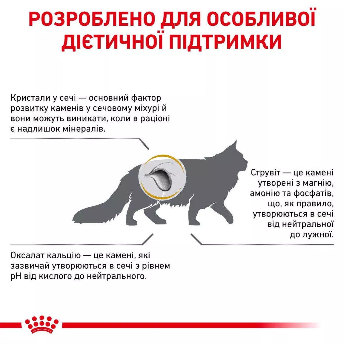 Сухий корм для котів Royal Canin Urinary S/O Cat Pouches, 85 г